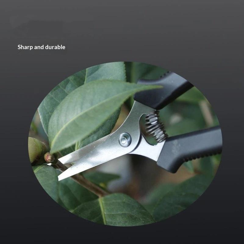 Stainless Steel Fruit Picking Shears With Sharp Blades Non Slip Handles For Gardening Harvesting Fruits Vegetables Flowers
