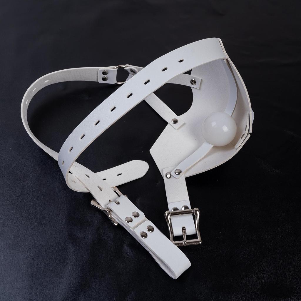 K9 Mask Harness Silicone Ball Gag: Adult Personality Mouth Cover