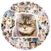 50PCS New Cute Cat Memes Motorbike Helmet Stickers Lovely Cats Waterproof Rear Trunk Sticker Motorcycle Body Scratch Cover Decal