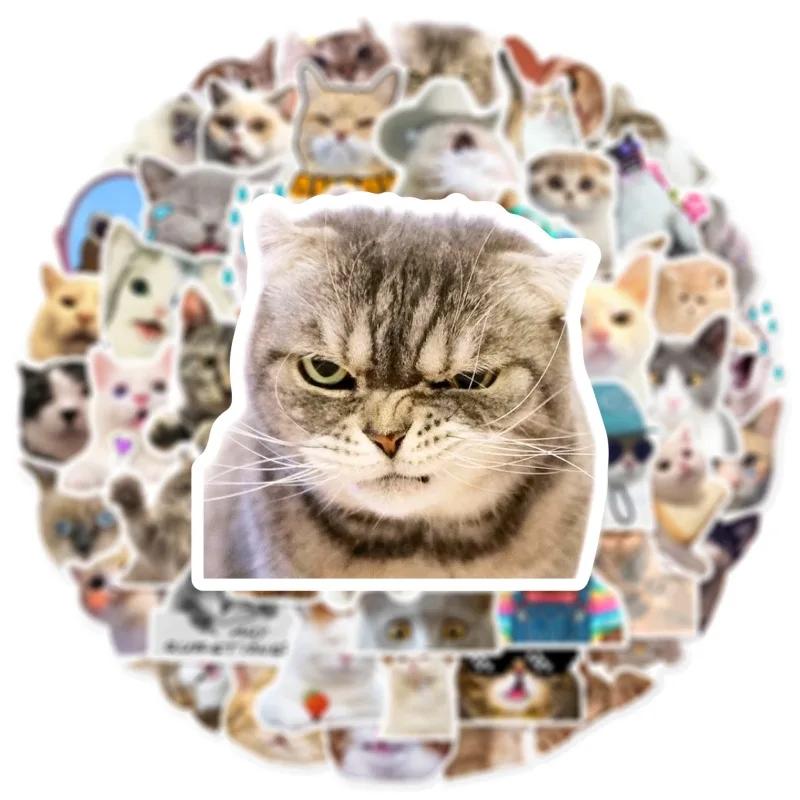 50PCS New Cute Cat Memes Motorbike Helmet Stickers Lovely Cats Waterproof Rear Trunk Sticker Motorcycle Body Scratch Cover Decal