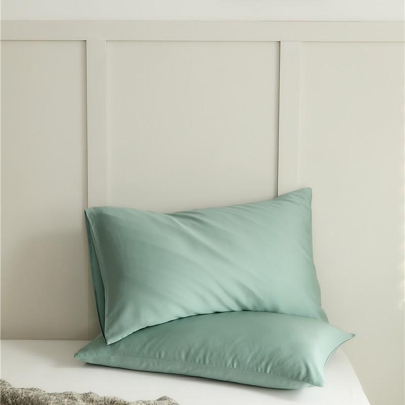 Leisel Tencel Pillowcase Single Pack - Single Pillowcase Solid Color Pillowcase Bedding Pillow Core Kit