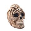 Halloween Skull Ornament Horror Vintage Gothic Flower Spider Skull Head