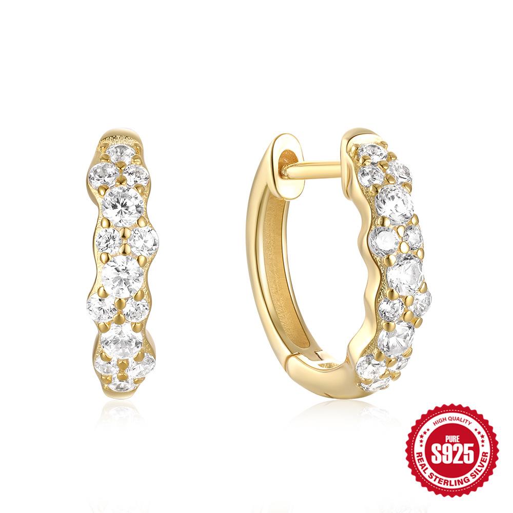 Simple Style S925 Sterling Silver Personality Size Diamond Leaf Glossy Luxury Earrings Ear Buckles Earrings Huggie