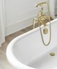 Universal Automatic Bathtub Siphon TADYCH Gold