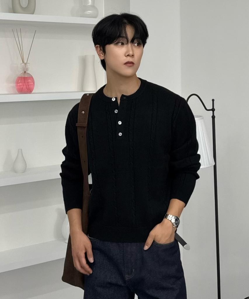 HYOJI Fw Washable Cable Crop Henley Neck Knit (8 Colors)