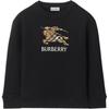 Kids Sweatshirts Crew Neck Moderate 81172931