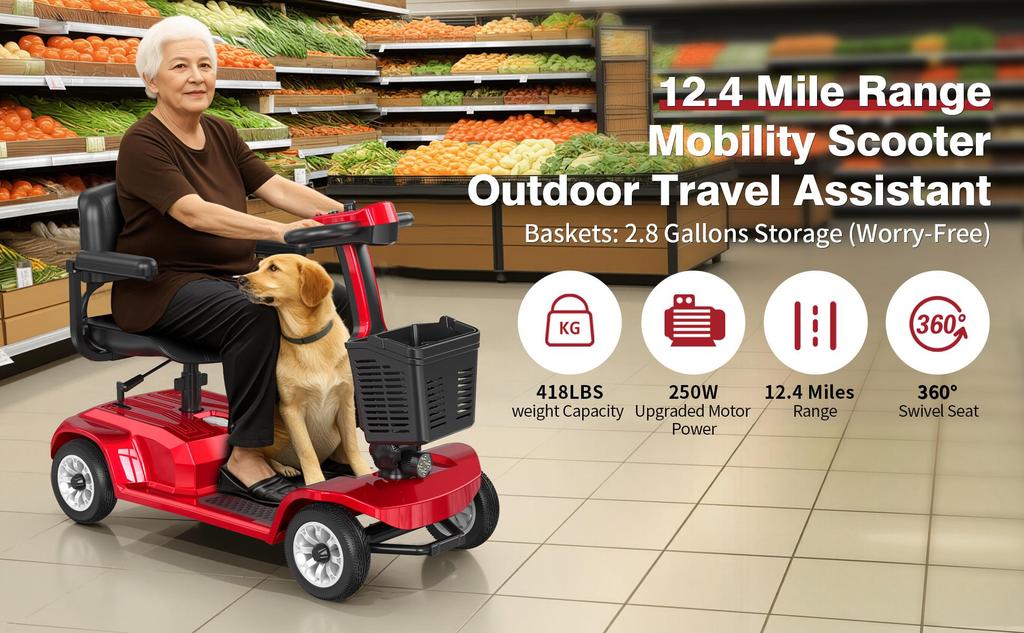 X-02 Mobility Scooter - 24V 300W, Max Speed 6km/h, Max Load 190KG, 20KM Range