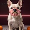 Funny Animal Masque Dog Masque PU Foam Scary Pet Face Costume Realistic Mouth for Halloween with Elastic Band Dress Up Holiday Party Photo