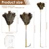 Extendable Ostrich Feather Duster With Stainless Steel Long Handle Brush Household Furniturer Dust Cleaning Tools