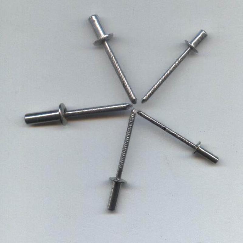 Rongyu Waterproof Stainless Steel Sealed Rivets