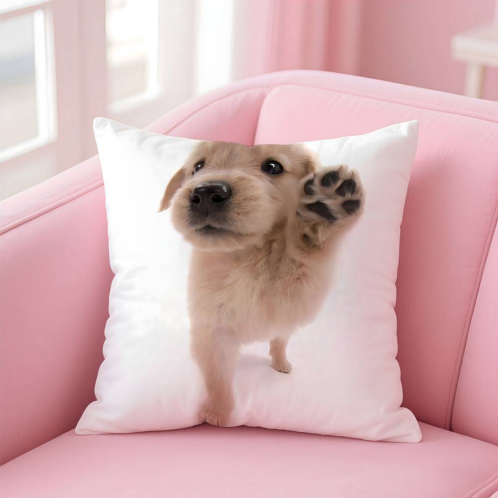 

Kwaii cat dog Pillow Case Anti-dustmite Pillow Invisible zipper silky short plush Sofa cushion cover 16x16Inch