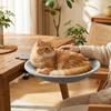 Produtos para animais – Móveis para animais de estimação