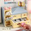 Aesthetic Multifunctional Divided Drawer Desktop Pen Holder Storage Organizer For Girls