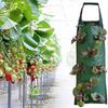Hanging Strawberry Planter Growbags(2 Pcs, Green)