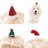 Festive Light Gold Long Wavy Pet Wig Hat For Dogs And Cats Ideal For Holiday Celebrations