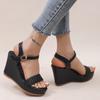 Fashion Woven Pu Leather Black Sandals for Women Summer 2025 Back Strap High Heel Sandal Female New Open Toe Platform Sandalias Mujer