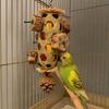 Hanging Cornhusk Pinecone Toy Bamboo Woven Parrot Foraging Basket Teeth Grinding Toy  for Parakeets