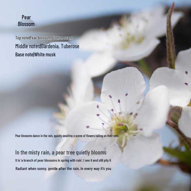 Orientalische Juwel Romantisches Blumiges Reparaturshampoo