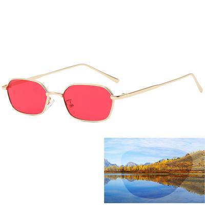 Small Square Sunglasse Women Men Brand Steampunk Metal Frame Sunglasses Men Retro Glasses UV400 Eyeglasses