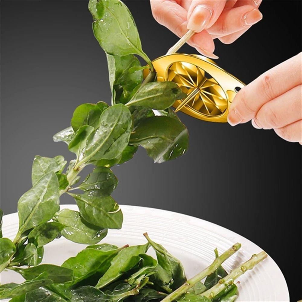 304 Stainless Steel Green Onion Slicer Food Grade Corrosion Resistant Scallion Cutting Tool Time-Saving Multi-functional