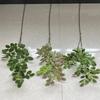 Locust Leaves Artificial Foliage Tree Leaf Greenery Stems for Indoor Outdoor  Wedding Home Event Floral Arrangements