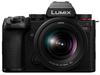 Panasonic Mirrorless Camera with Standard Zoom Lens Kit DC-S5M2K Full-Frame (Black)