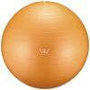ALINCO Exercise Ball 55cm (Orange) WBN055D