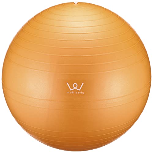 ALINCO Exercise Ball 55cm (Orange) WBN055D
