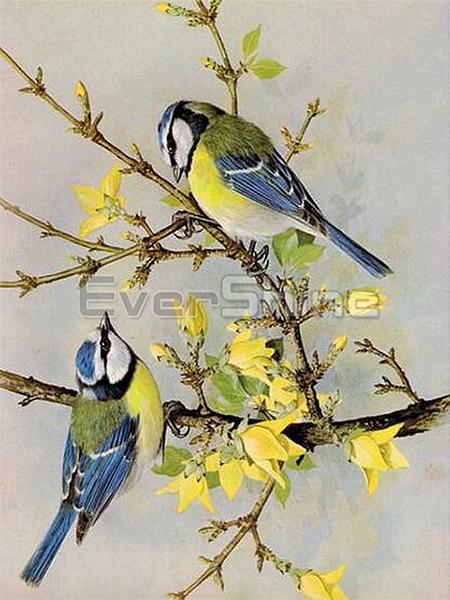 

5D алмазная живопись птицы полная круглая алмазная вышивка распродажа изображения животных стразы мозаика украшение дома Full Round 20x25CM