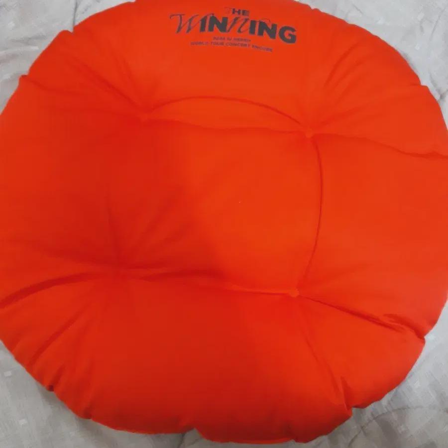 

IU Концертная подушка 2024