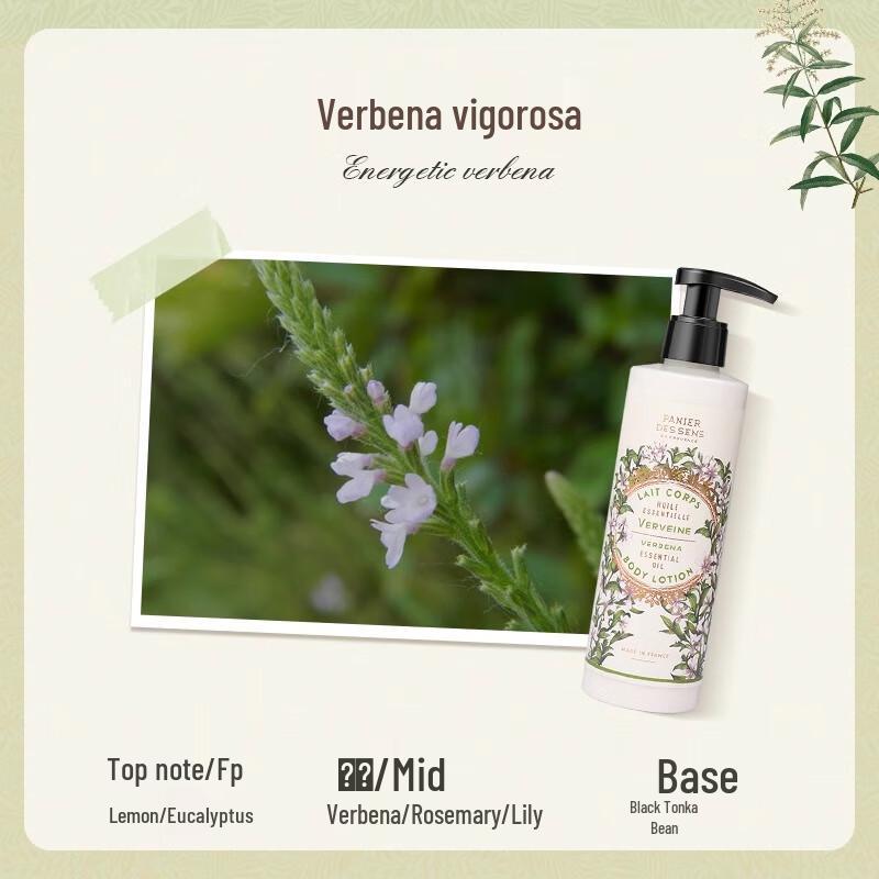 L'Occitane Verbena Body Lotion