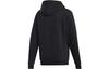 adidas Sweatshirts Men's Black Hooded Moderate Regular DY5821