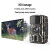 HD Night Vision Wildlife Tracking Camera - Forest Waterproof Sensor for Hunting