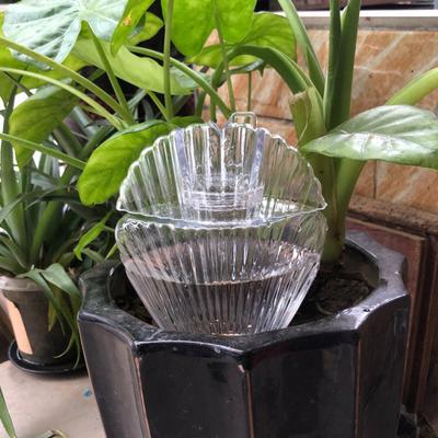 Self Watering Bulbs for Indoor Outdoor Plants Shell Shaped Automatic Plant Waterer Spikes with Slow Release System for Home Garden Plant Decor