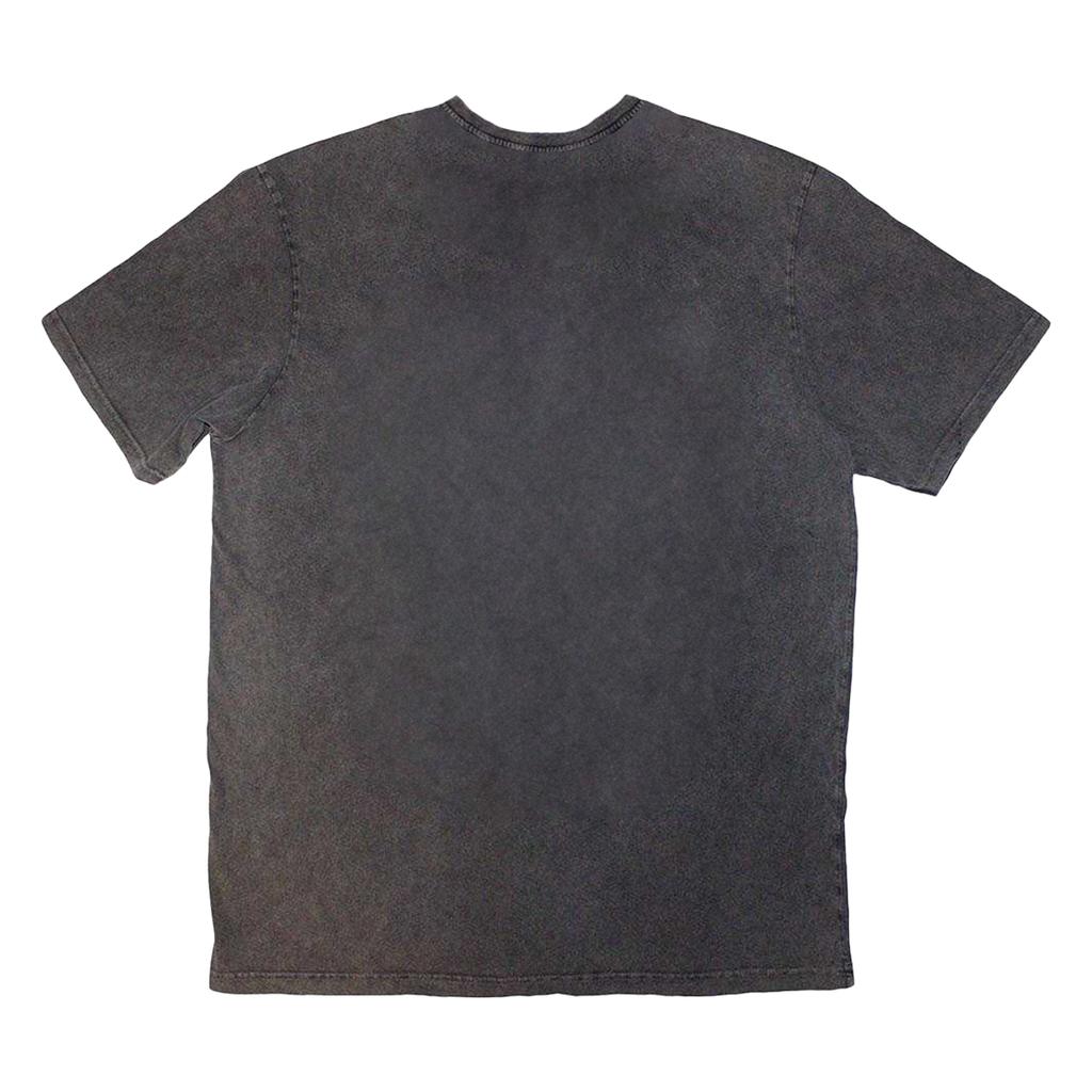 Red Hot Chilli Peppers Unisex Adult Portrait Stone Wash T-Shirt