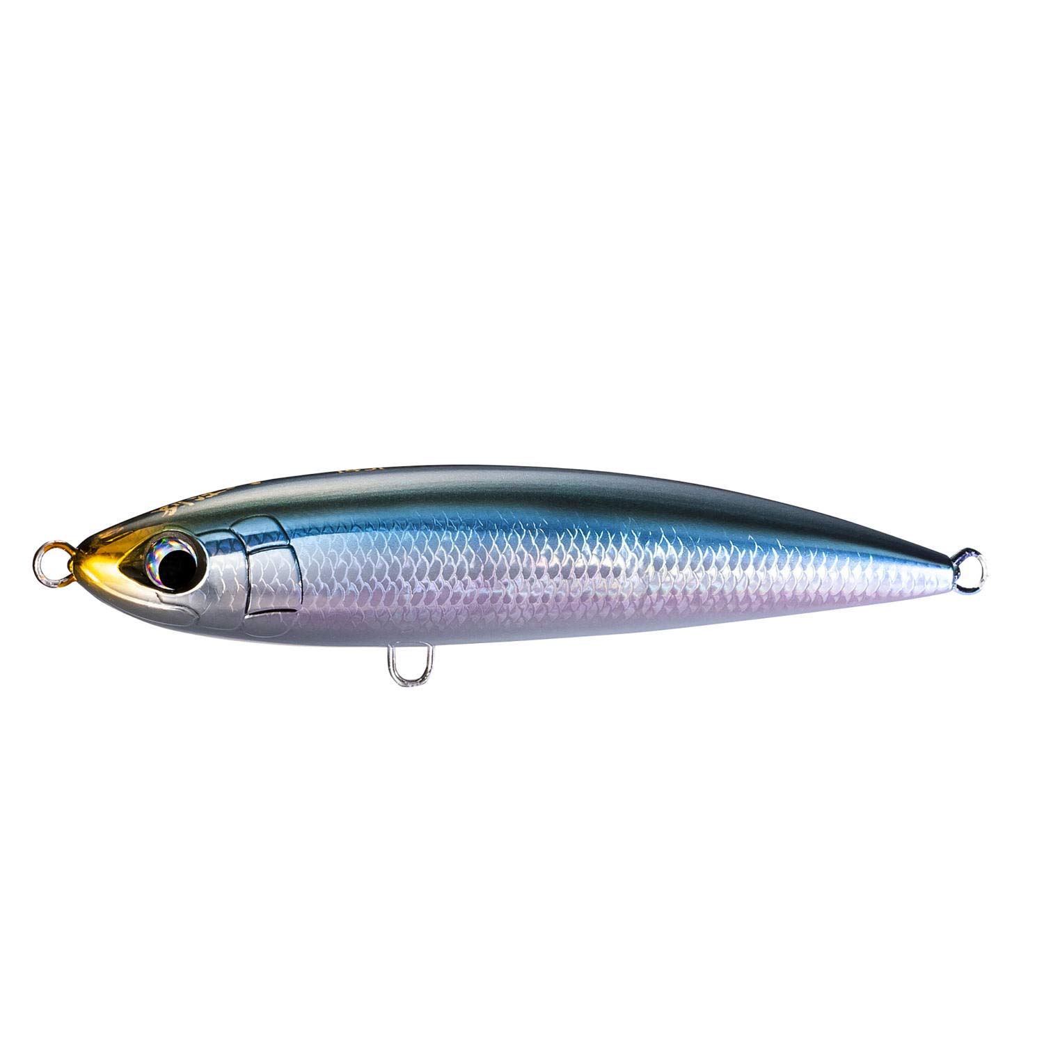 

Shimano Lure Ocea Special Order Hiramasa 145F 006 Kyorin Katakuchi (SHIMANO) OT-145K