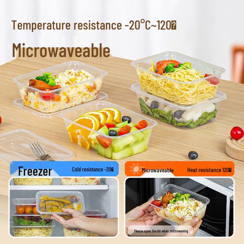 Temeiju Disposable Square Lunch Box with Lid, 10 Sets