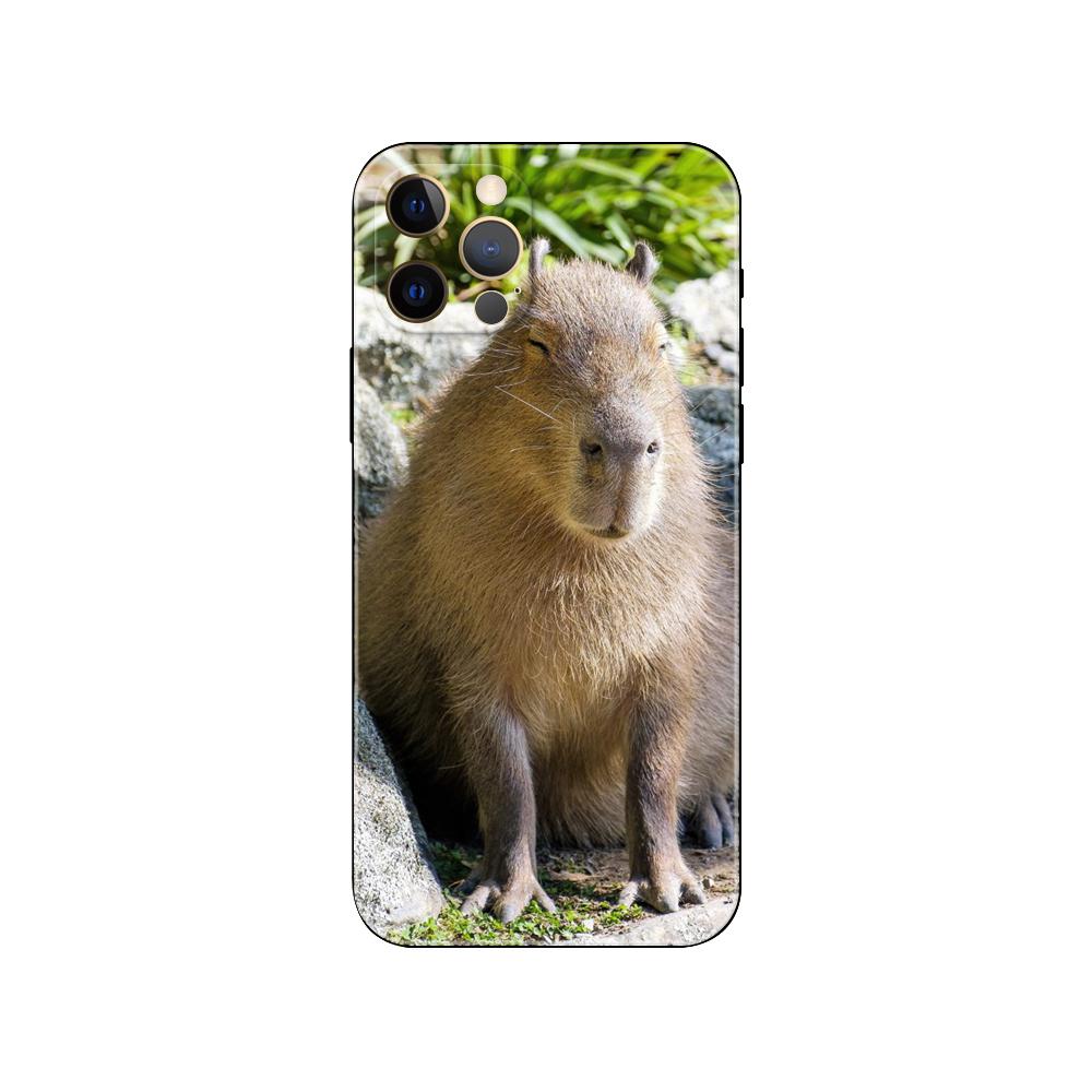 Capybara pouzdro na telefon pro iPhone 5 5s 2020se 6 6s 7 8 plus x 10 XR XS 11 12 13 mini pro MAX černý zadní kryt TPU