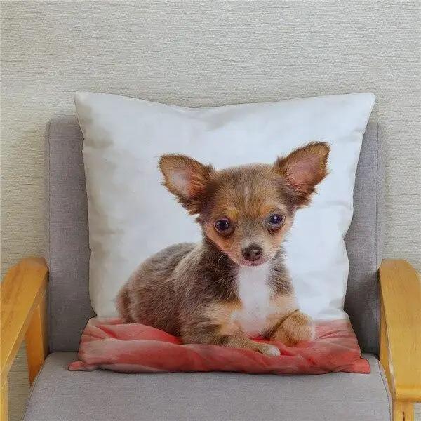 Cute Mini Chihuahua Dog Decorative Pillowcase Office Living Room Car Ornaments Home Pillowcase