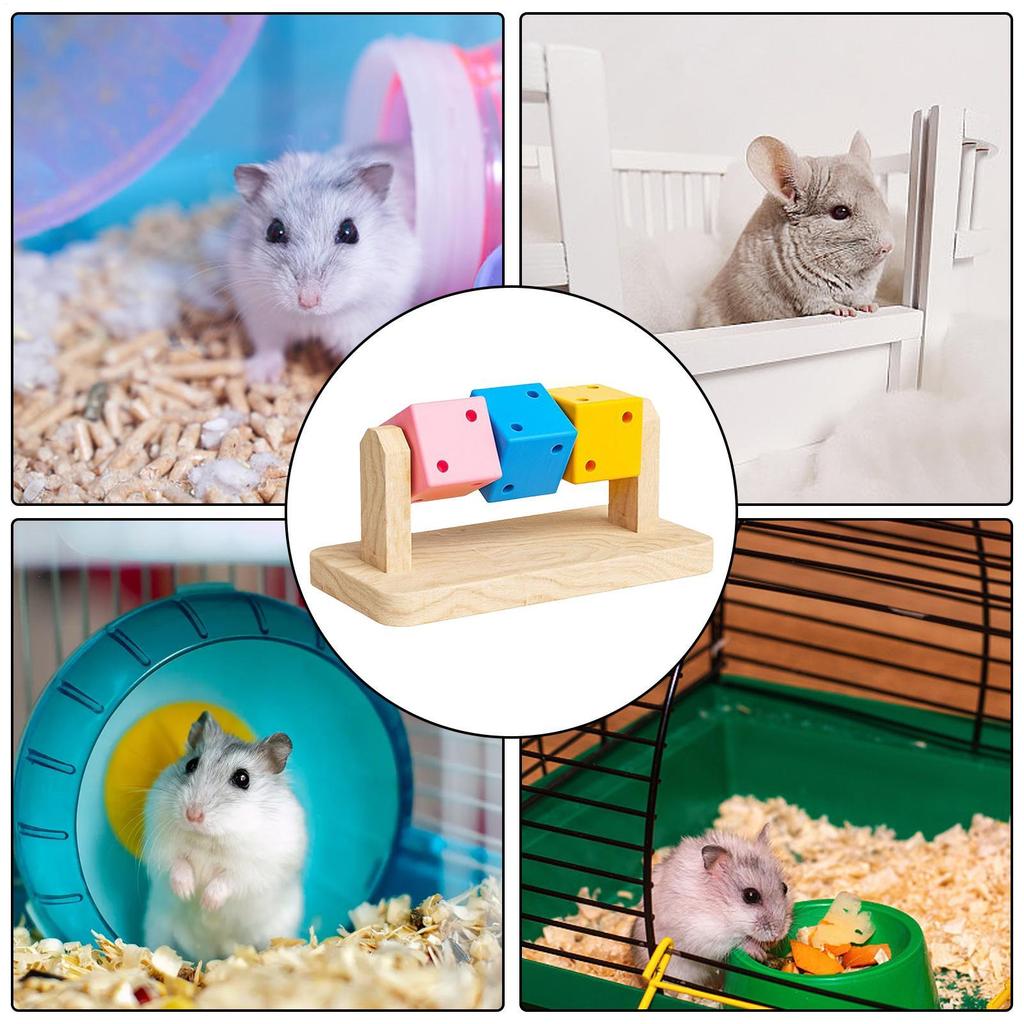Hamster Chew Blocks Hamster Enrichment Toy Bite Safe Craftsmanship Natural Hamster Chew Toys Wood Hamster Chew Toys