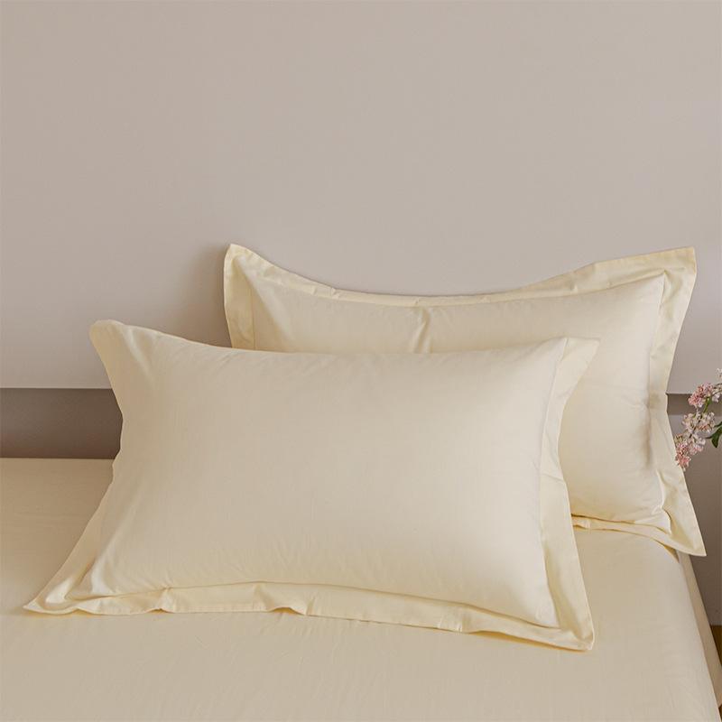 Autumn and Winter Class A Cotton Abraded Pillowcase Pair of Pure Cotton Thickened Pillowcase Pillow Core Liner Cover Household 48X74cm