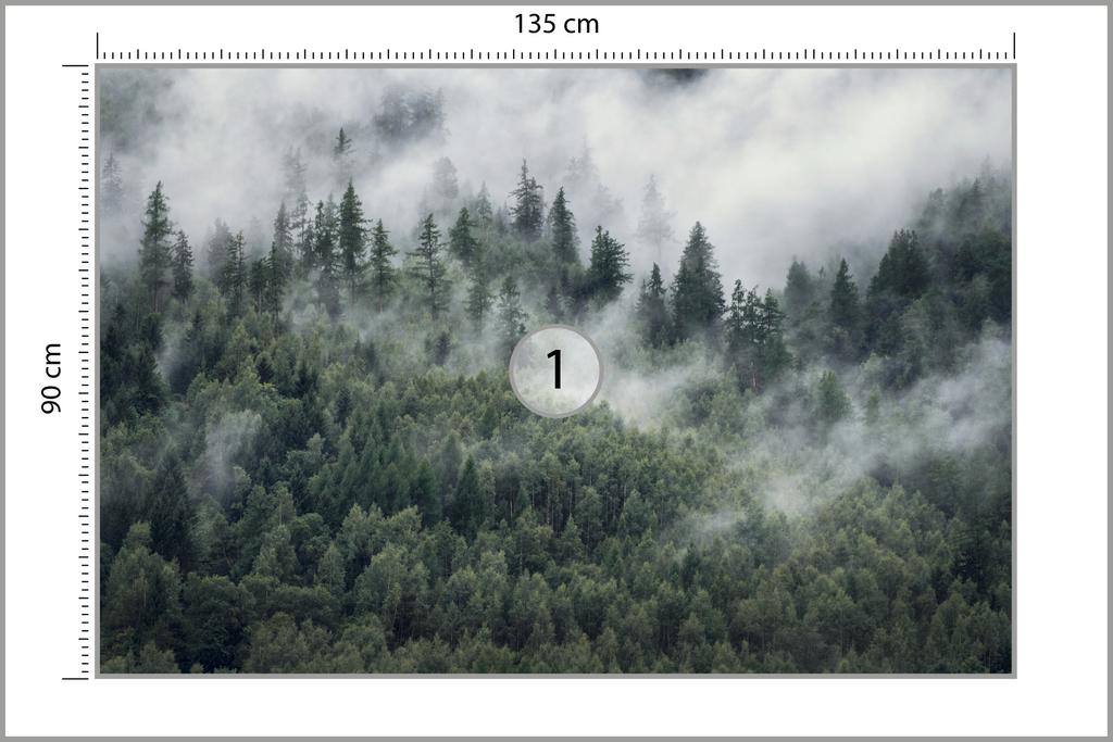 Photomural Forest In The Morning Mist Non-Woven 135x90