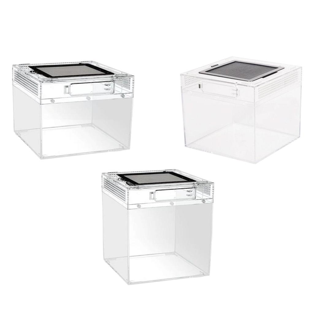 Reptile Terrarium Container Ventilation Clear Breeding Box Habitat for Jumping Lizards Scorpions Iguana Bearded Dragon
