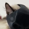 Cat Bat Mask Half Face Bat Hero Cosplay Mask Cat Superhero Mask with Ear Holes for Halloween Costume Parties Pet Photography Prop