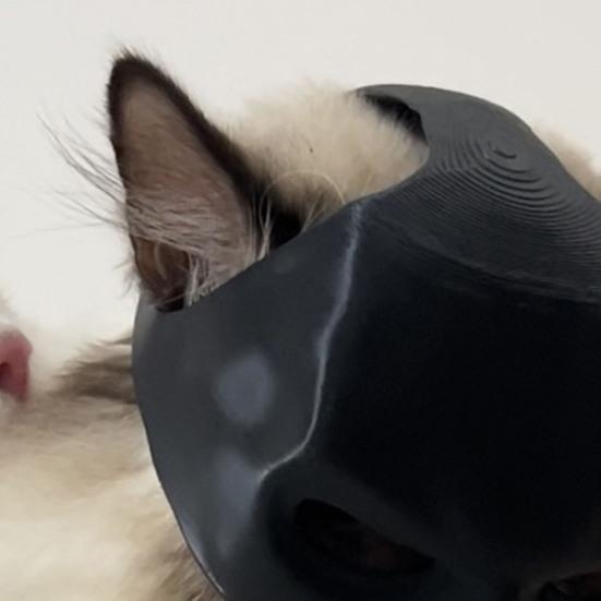 Cat Bat Mask Half Face Bat Hero Cosplay Mask Cat Superhero Mask with Ear Holes for Halloween Costume Parties Pet Photography Prop