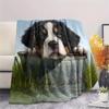Süße Berner Sennenhund-Muster Flanelldecke, Hohe Qualität, Bequem für alle Jahreszeiten, Heimdekoration, Wärme und Komfort, Perfekt für Geschenke.