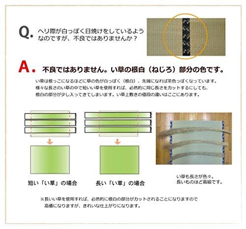 IKEHIKO Corporation IKEHIKO Shiranui Igusa Rug, Honma 1 Tatami Size (approx. 95 X 191 Cm), Made In Japan, Checkered Weave, Cypress Finish #6300181