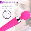 Massage Stick Vibrator Shoulder Foot Neck Back Face Handheld Ladies Massage Vibrator