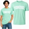 Wild Bobby State of Tennessee Football Fan Graphic Fashion Men's T-Shirt