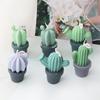 Succulent Scented Candle Mold Aromatherapy Soap Mould Gypsum Resin Mould Plaster Ornament for Birthdays and Festivals